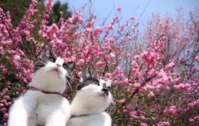 3月 休診日