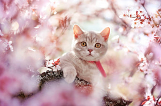 4月 休診日　